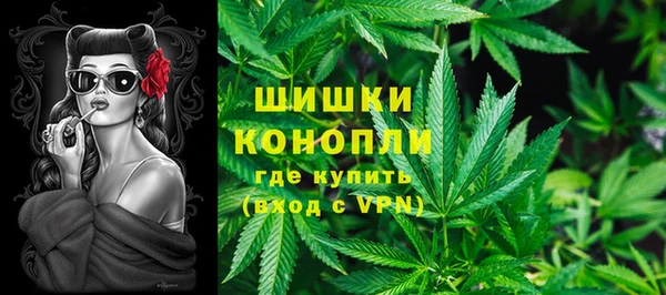 не бодяженный Бородино
