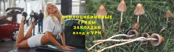 не бодяженный Бородино